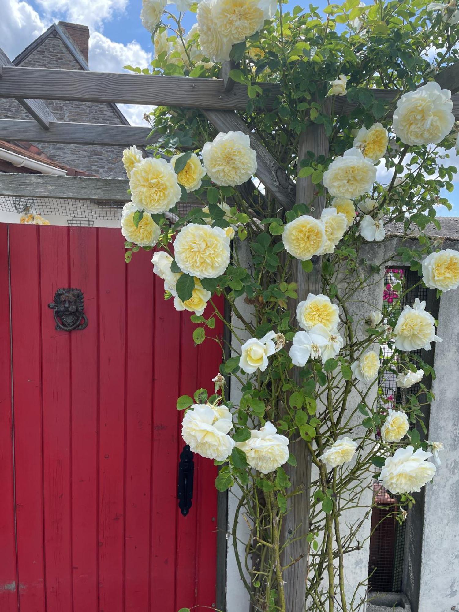Delightful French Rustic Studio Jumilhac-le-Grand Exteriér fotografie